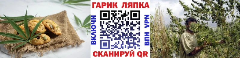 маркетплейс как зайти  Ступино  Cannafood марихуана 