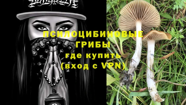 тгк Алзамай