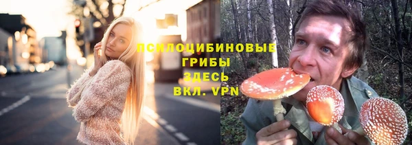 мяу мяу мука Алексеевка