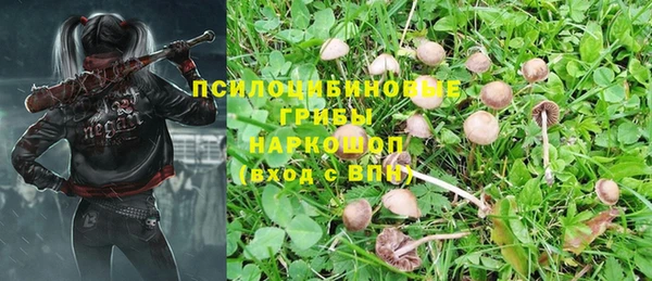 дживик Заводоуковск