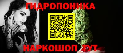 прущие грибы Кулебаки