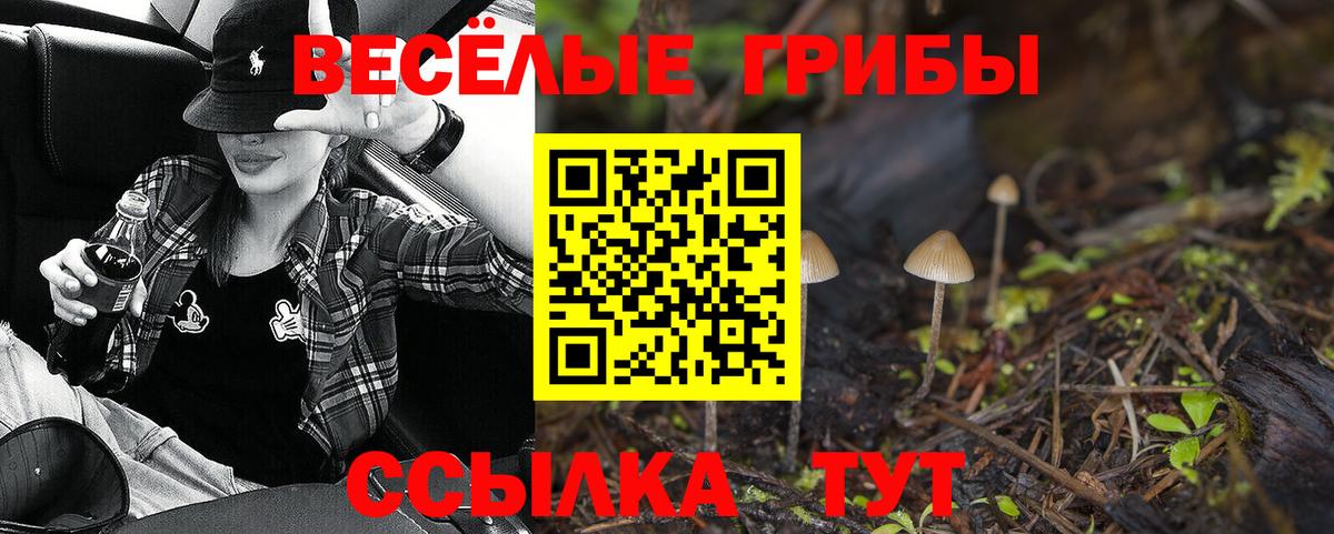 Галлюциногенные грибы мухоморы  Вход с VPN  Ступино 